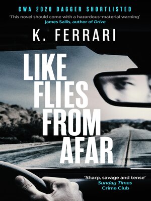 cover image of Like Flies from Afar
